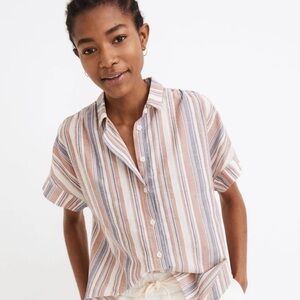 Madewell Blue and Brown Striped Shirt